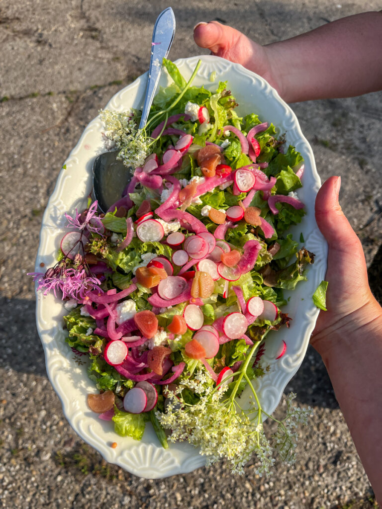 Moestuindiner bij brandnetelboerin, lokaal eten, regeneratief, biologisch