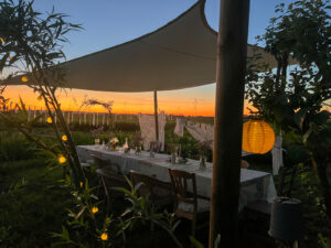 Moestuindiner bij brandnetelboerin, lokaal eten, regeneratief, biologisch