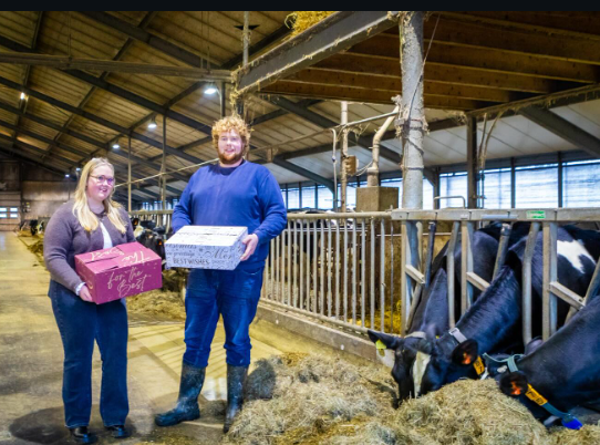 zorg-boerderij-rietstulp