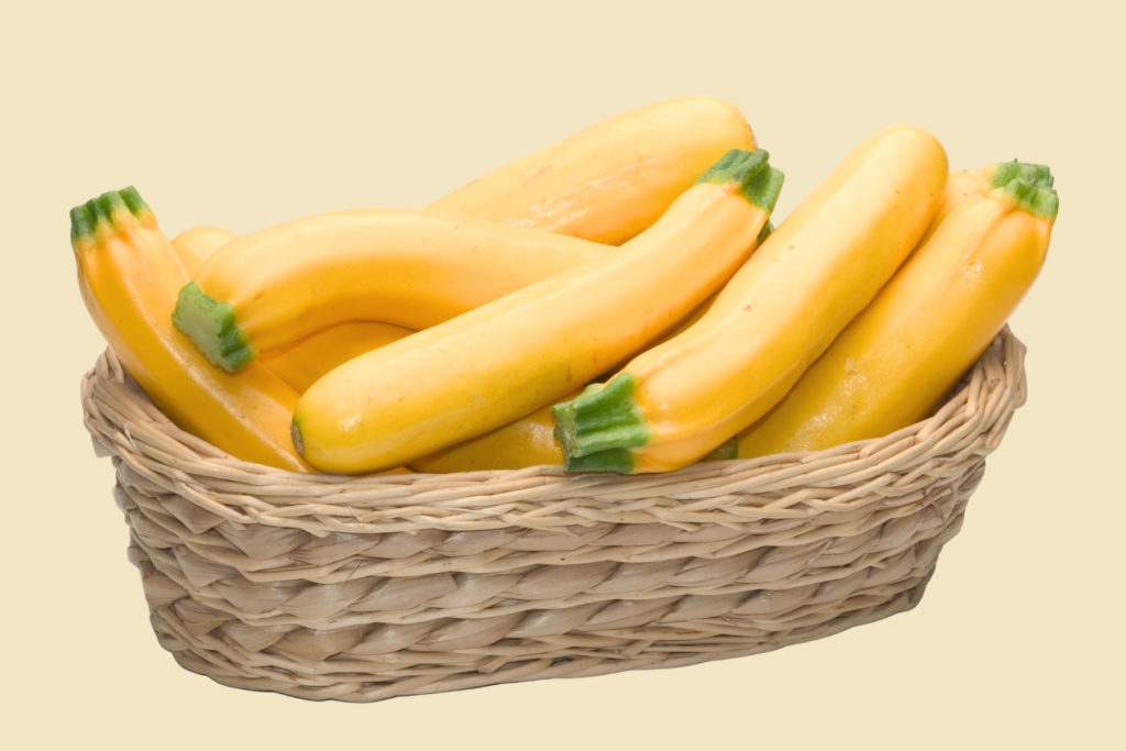 Courgette hasselt zwolle genemuiden brandnetelboerin